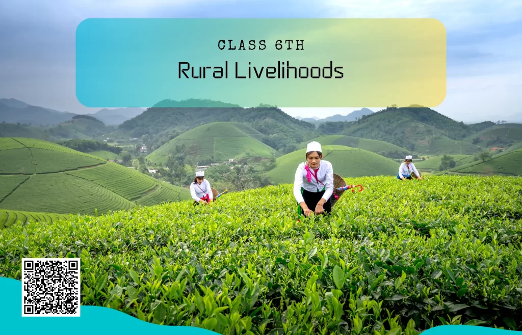 NCERT Solutions for Class 6 Civics Chapter 7 Rural Livelihoods