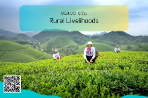 NCERT Solutions for Class 6 Civics Chapter 7 Rural Livelihoods