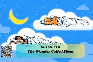 NCERT Solutions for Class 6 English Unit 7 – The Wonder Called Sleep