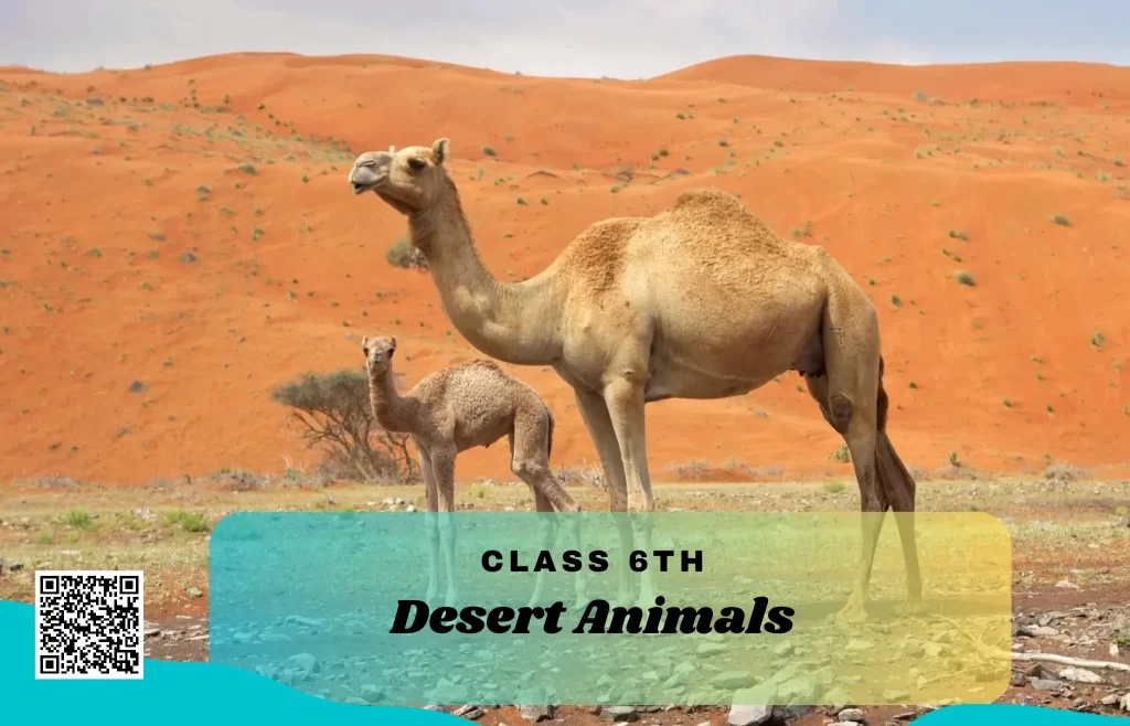 NCERT Solutions for Class 6 English Unit 9 Desert Animals