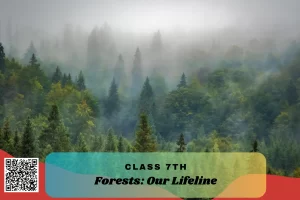 NCERT Solutions for Class 7 Science Chapter 12 Forests Our Lifeline