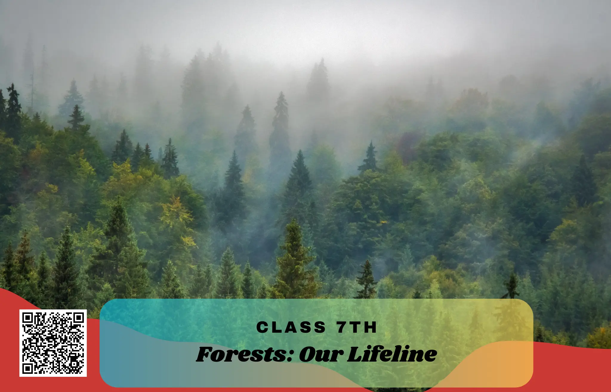 NCERT Solutions for Class 7 Science Chapter 12 Forests Our Lifeline