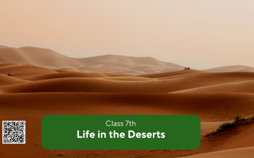 NCERT Solutions for Class 7 Social Studies Chapter 9 – Life in the Deserts