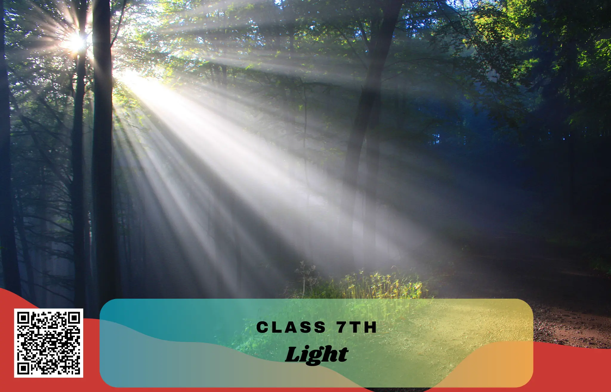 NCERT Solutions for Class 7 Science Chapter 11 Light