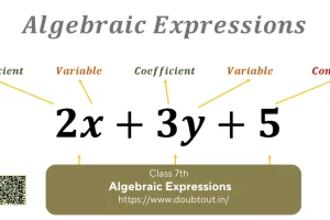 NCERT-Solutions-for-Class-7-Maths-Chapter-10-Algebraic-Expressions
