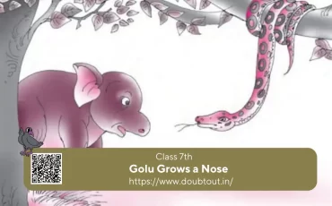 NCERT-Solutions-for-Class-7-English-Supplementary-Chapter-3-Golu-Grows-a-Nose