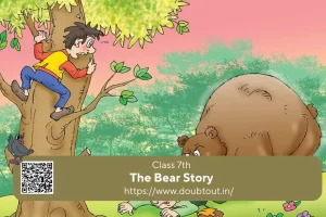 NCERT Solutions for Class 7 English Supplementary Chapter 5 The Bear Story