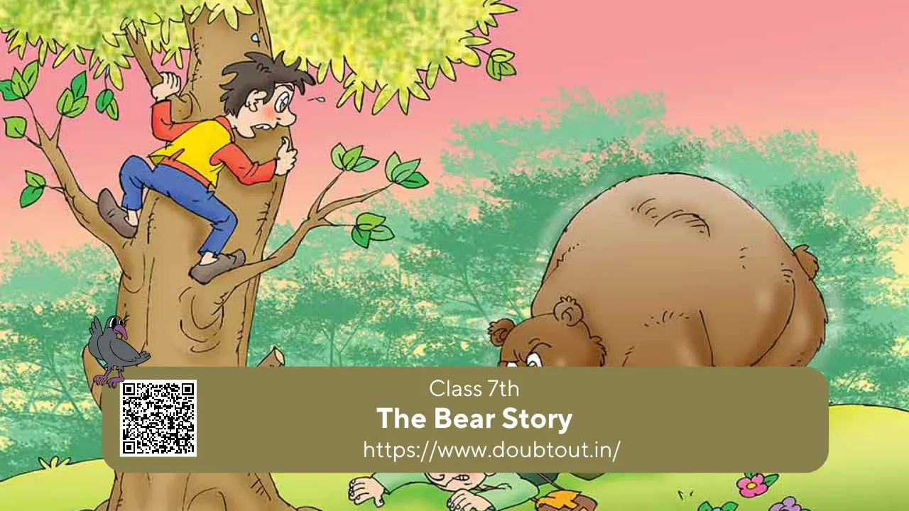 NCERT Solutions for Class 7 English Supplementary Chapter 5 The Bear Story