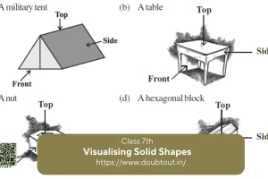 NCERT Solutions for Class 7 Maths Chapter 13 Visualising Solid Shapes
