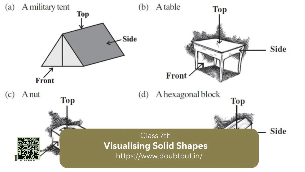NCERT Solutions for Class 7 Maths Chapter 13 Visualising Solid Shapes
