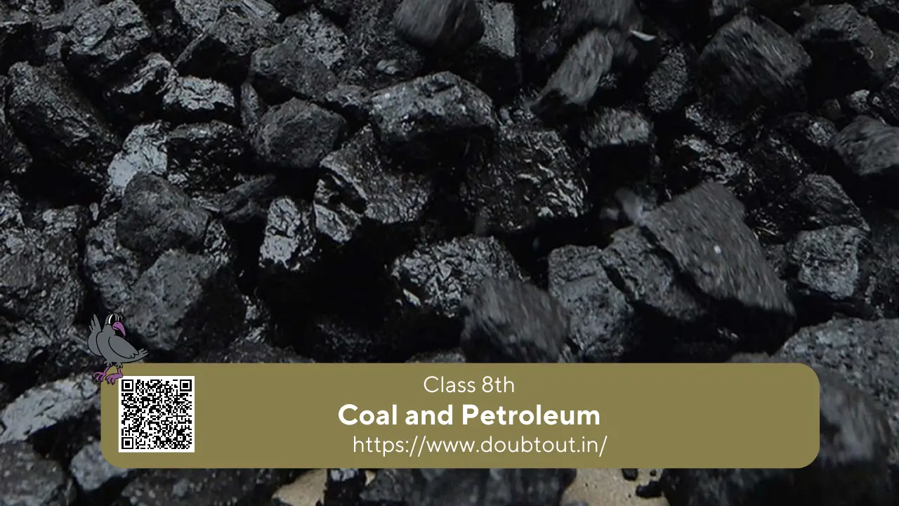 NCERT-Solutions-for-Class-8-Science-Chapter-3-Coal-and-Petroleumupdated-Pattern