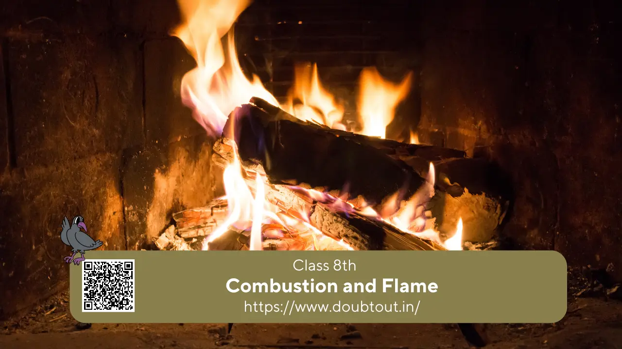 NCERT Solutions for Class 8 Science Chapter 3 Combustion and Flame