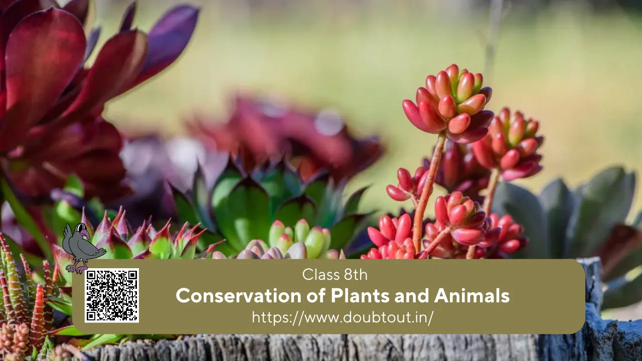 NCERT-Solutions-for-Class-8-Science-Chapter-4-Conservation-of-Plants-and-Animals