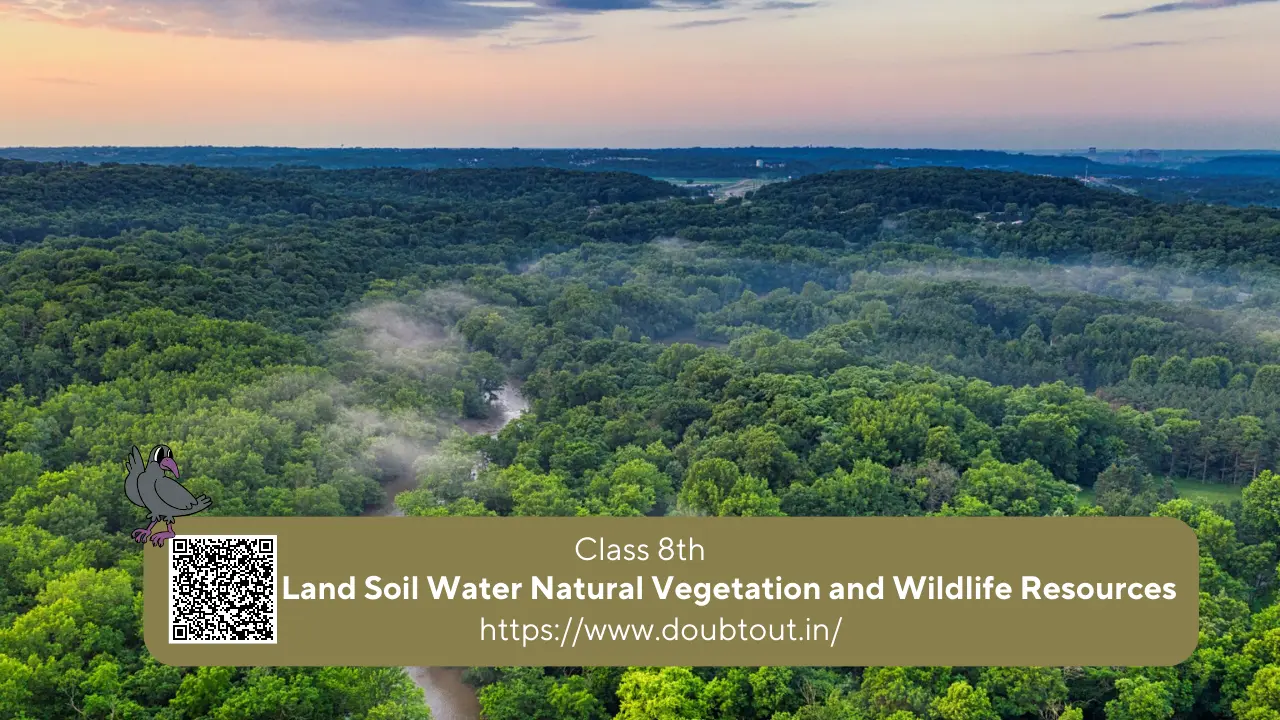NCERT Solutions For Class 8 Geography Chapter 2 Land Soil Water Natural Vegetation and Wildlife Resources( updated pattern)