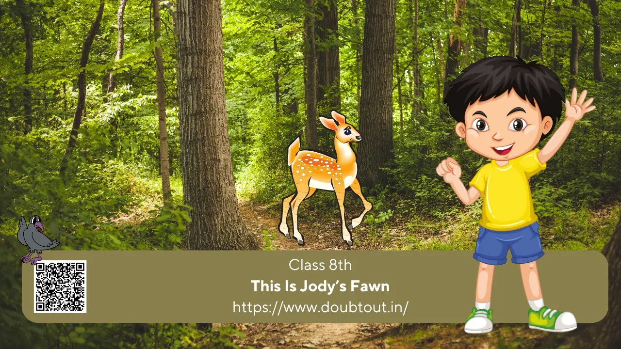 NCERT Solutions for Class 8 English Unit 6 – This Is Jody’s Fawn (Updated Pattern)