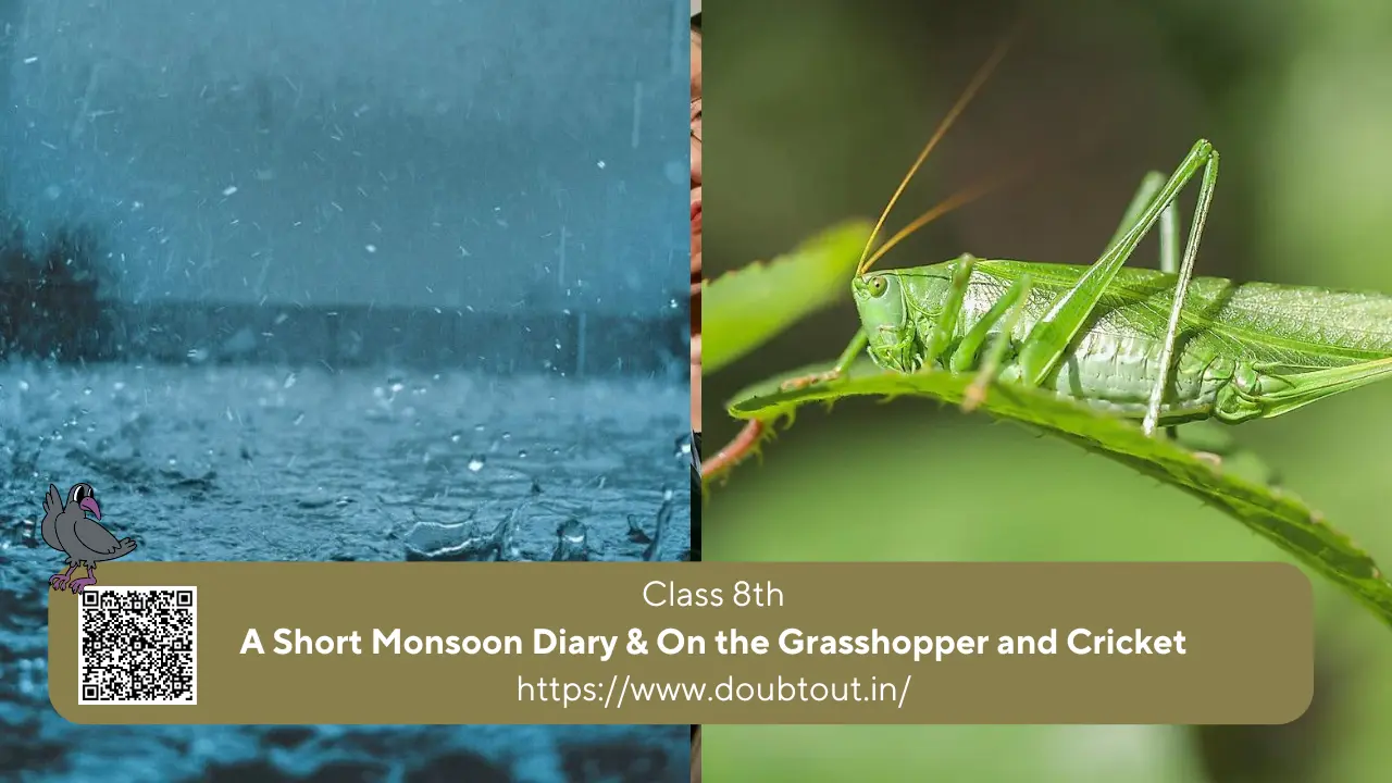 NCERT Solutions for Class 8 English Unit 8 – A Short Monsoon Diary & On the Grasshopper and Cricket (Updated Pattern)